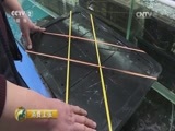 消费主张 《消费主张》 20161212 冬季水产市场调查——鲍鱼