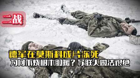 战史分析 二战时德军在莫斯科成片冻死，为何不烧树木取暖？苏联人做法很绝