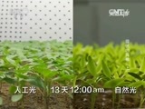 走近科学 《走近科学》 20160125 霾伏的真相（上）