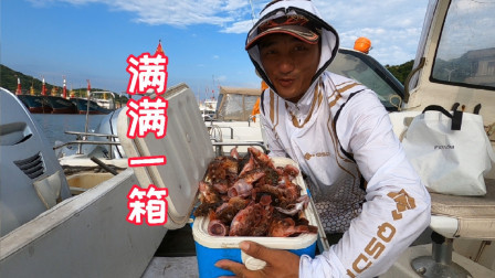 海钓虎头鱼不需要什么技术，新手也可以轻松爆箱，你心动了吗