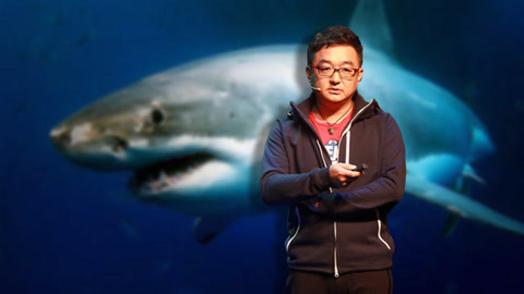 一刻talks 绝对震惊你的潜水冷知识：鲨鱼其实不喜欢吃人