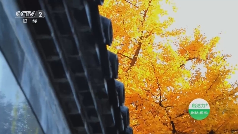 《职场健康课》 20251207 冬藏有良方