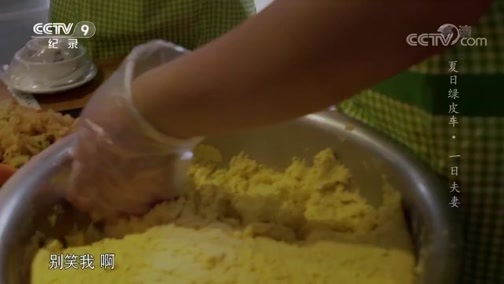 《夏日绿皮车》 第八集 一日夫妻