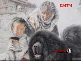 生财有道 《生财有道》 20110902 西藏獒王