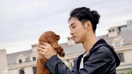 一部寻常的偶像剧 男女主好像拿错了剧本 史上最暖萌总裁