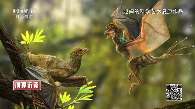 《心理访谈》 20210815 恐龙画家赵闯