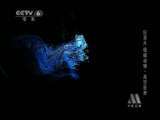 动物世界 《动物世界》 20110719 极端动物·高空世界