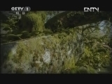 魅力纪录（CCTV-1综合频道） 《魅力纪录》 20120426 生命 第九集 植物