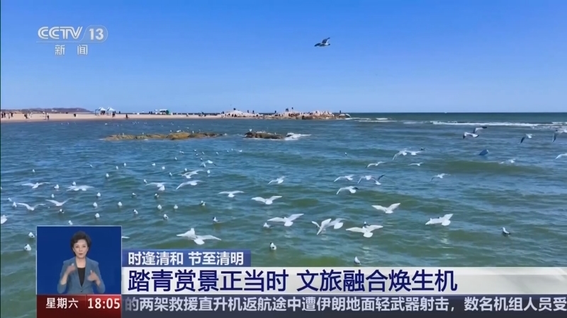 《共同关注》 20260404