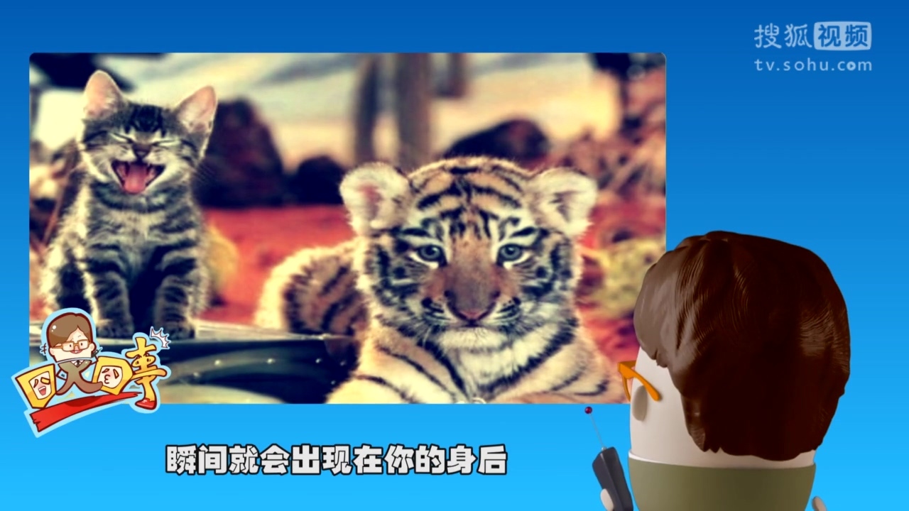 囧人囧事 史上最丧心病狂的岛国片