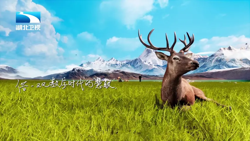 《你好赛先生第二季》第17期