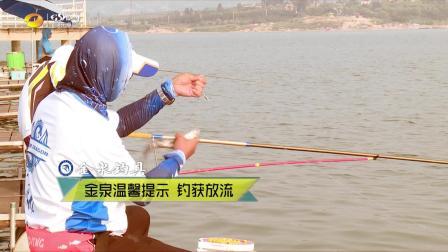 自游去钓 第一季 自游去钓: 带你体验雪野湖狂拔草鱼