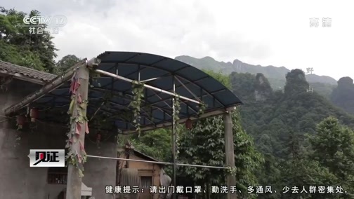 见证 《见证》 20200207 见证长阳（二）野山