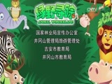 绿野寻踪 《绿野寻踪》 20170405