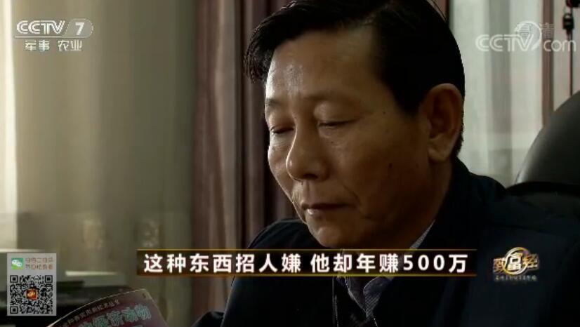 致富经 [致富经]这种东西招人嫌 他却年赚500万 20181009