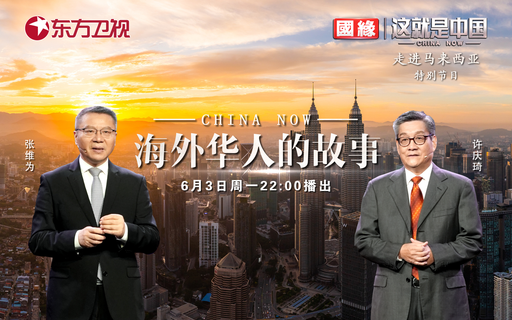 这就是中国 海外华人的故事