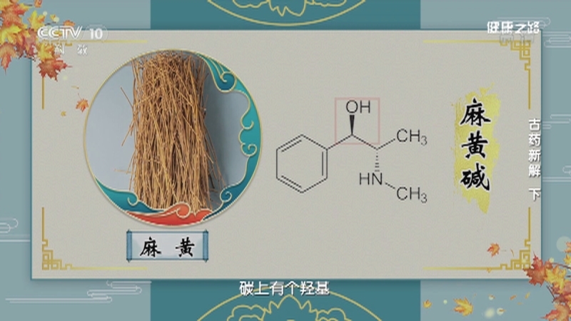 健康之路 《健康之路》 20201130 古药新解（下）