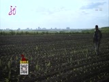 全省新闻联播 《全省新闻联播》 20160702