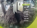 我爱发明 《我爱发明》 20170330 百变萃取壶