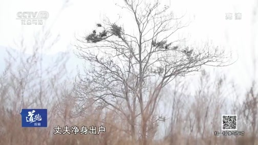 道德观察 《道德观察(日播版)》 20190518 杨淑丽的前半生