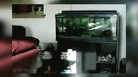 轻松时刻 第二季 爆笑搞怪新技能get√ 17