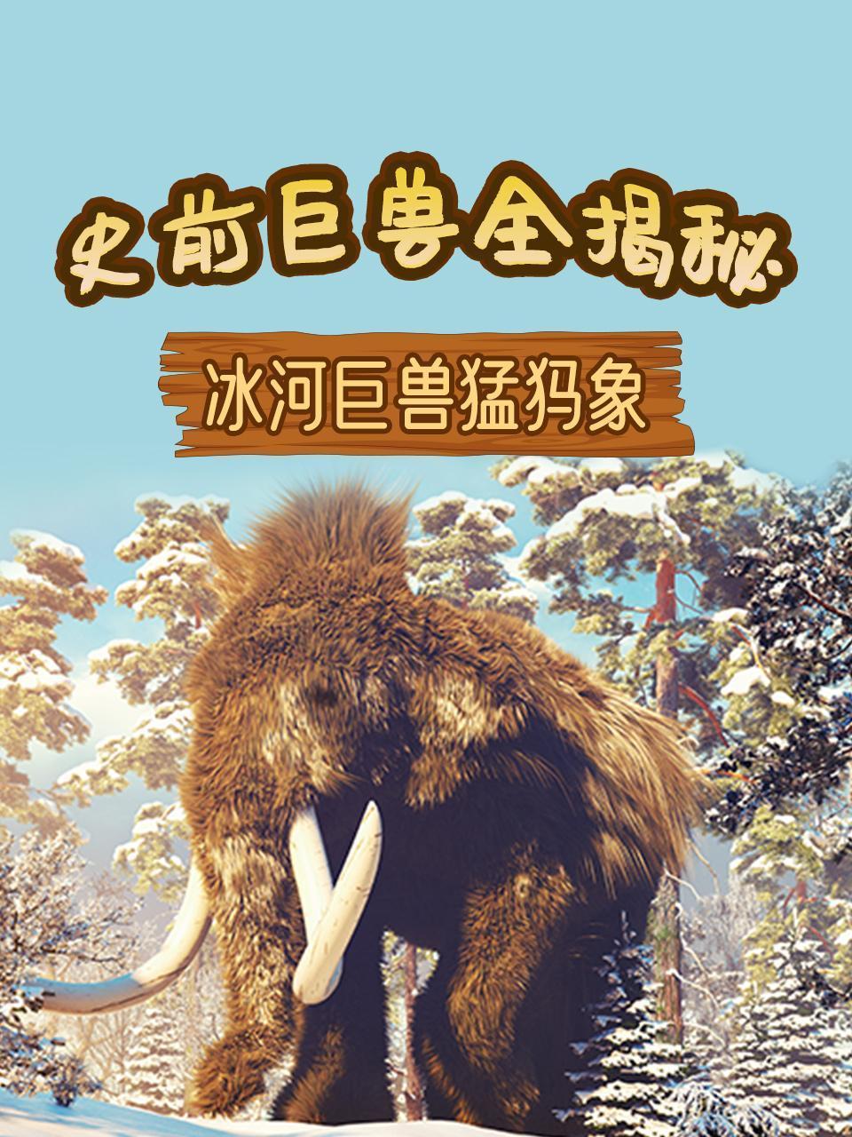 史前巨兽全揭秘之冰河巨兽猛犸象
