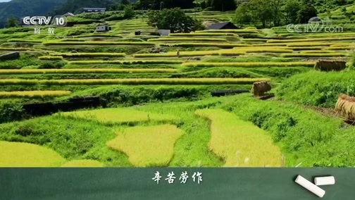 百家讲坛 《百家讲坛》 20200315 爱上语文 8 童趣诗里藏思辨