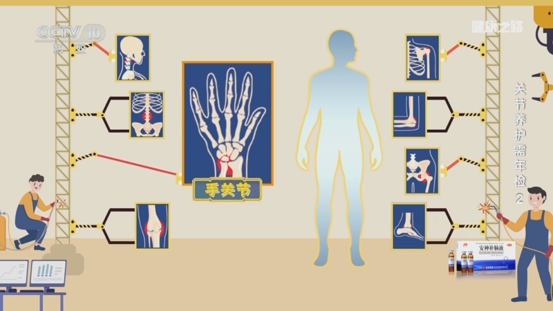 《健康之路》 20251018 关节养护需年检 2