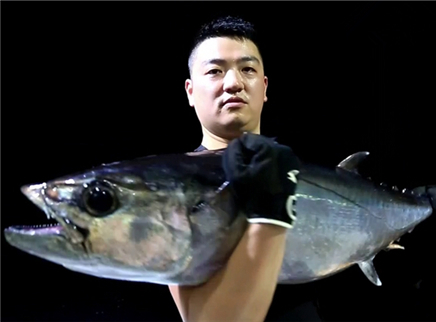 印尼秘境寻狗牙