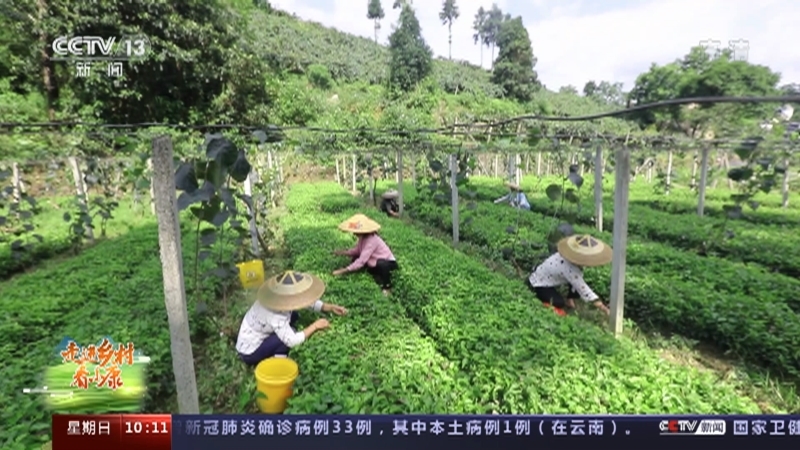 《走进乡村看小康》 20210718