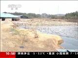 新闻直播间 《新闻直播间》 20141227 10:00