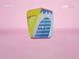 小小智慧树 《小小智慧树》 20170509