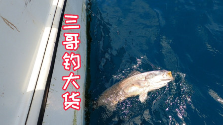 这一波潮水上来的全是小米鱼，一个多小时就钓上来50多条，狂拉啊