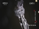 动物世界 《动物世界》 20160108 恐龙时代的地球（上）
