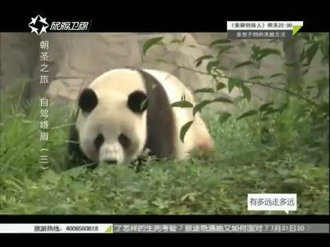 有多远走多远 《有多远走多远》 20150728 朝圣之旅 自驾峨眉（三）