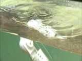 我爱发明 《我爱发明》 20180730 钓鱼有方