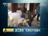 生财有道 《生财有道》 20180423 绿色发展看湖州 浙江德清：花海经济促振兴