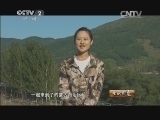 生财有道 《生财有道》 20140908 多亏买下一匹瘸腿马