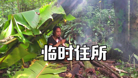 原始丛林人苏门答腊 第二季 茂密的丛林世界，没有带帐篷，用芭蕉叶建造临时庇护所