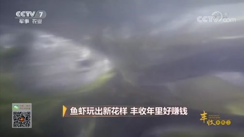 致富经 [致富经]鱼虾玩出新花样 丰收年里好赚钱 20180921