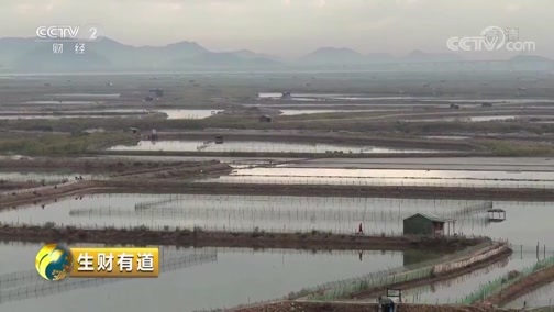 生财有道 《生财有道》 20190502 咱们家乡春天美 海韵！海味！嗨，三门！