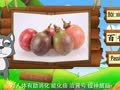 看图识物 菠萝蜜 百香果 红毛丹