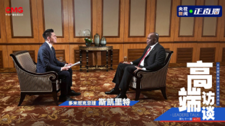 高端访谈 高端访谈｜专访多米尼克总理斯凯里特