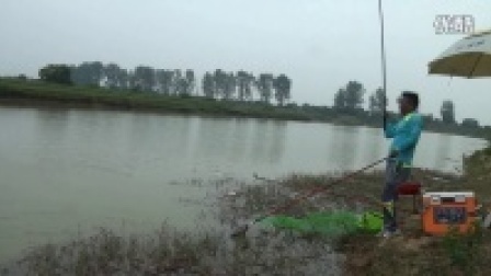 赣江支流寻草鱼
