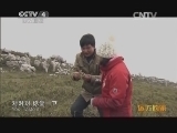 远方的家 特别节目 山水秀丽 磅礴多情《远方的家》 20140407