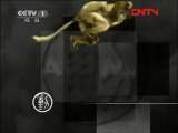 动物世界 《动物世界》 20111023