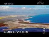 今日说法 小撒印象 5