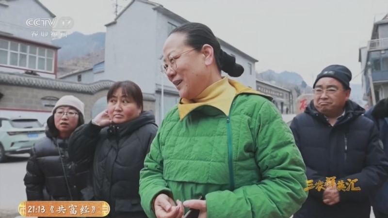 三农群英汇 《三农群英汇》 20260108 新农人筑梦新乡村——英语讲师的有机突围