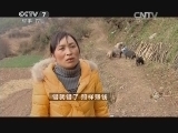 致富经 《致富经》 20150213 错就错了 照样赚钱
