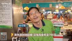 致富经 [致富经]渔夫遇到俏姑娘 深海淘金年卖700万 20180822